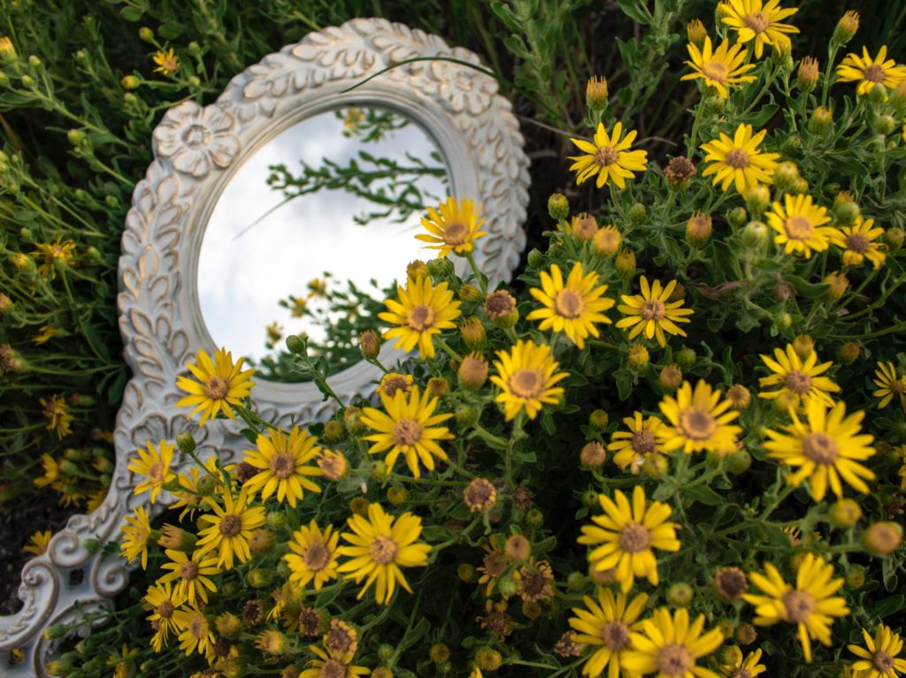 An ornate hand mirror in a field of yellow flowers