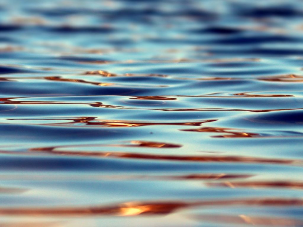 close up of a pond surface