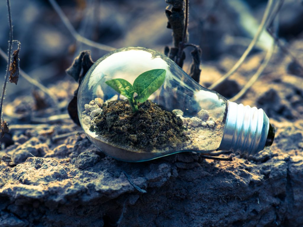 light bulb sitting on the ground with dirt and a small plant in it