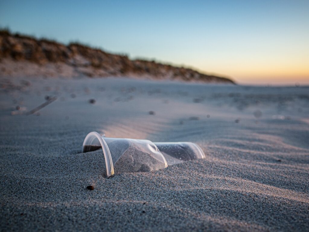 A plastic cup buried in the sand on a beach